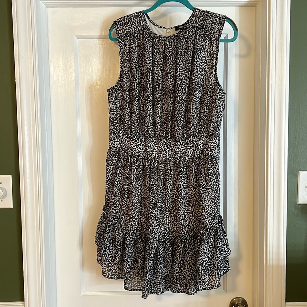 Express Leopard Print Dress